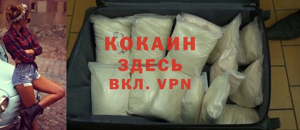 ешки Вяземский