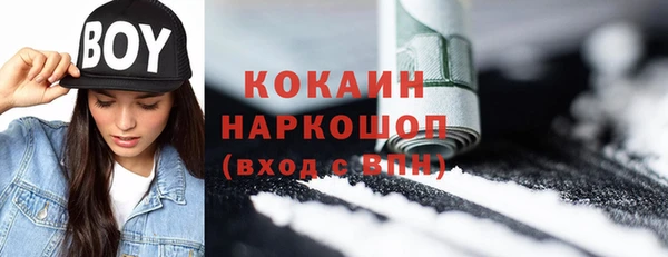 ешки Вяземский