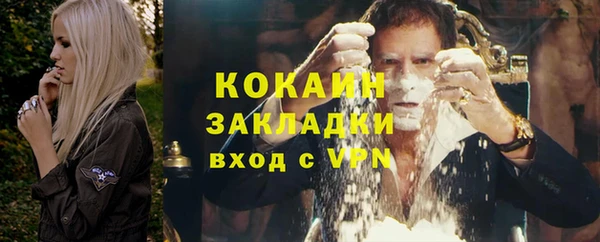 ешки Вяземский