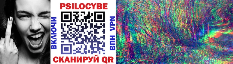 Купить  Покровск  Псилоцибиновые грибы ЛСД 